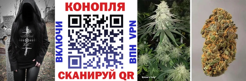 Бошки марихуана план Лагань